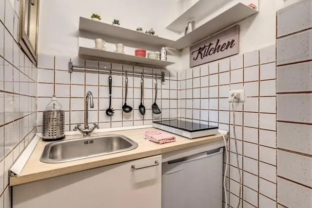 Petite Fleur 公寓 罗马